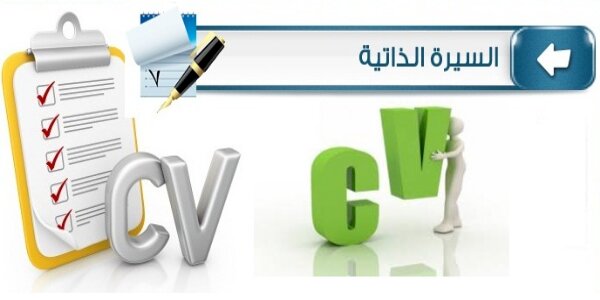 إنشاء سيرة ذاتية إحترافية في قطر عربي وإنجليزي